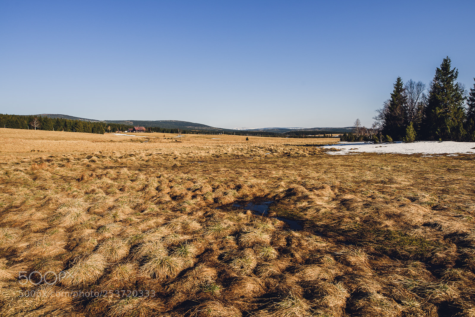 Nikon D810 sample photo. Other spring photography
