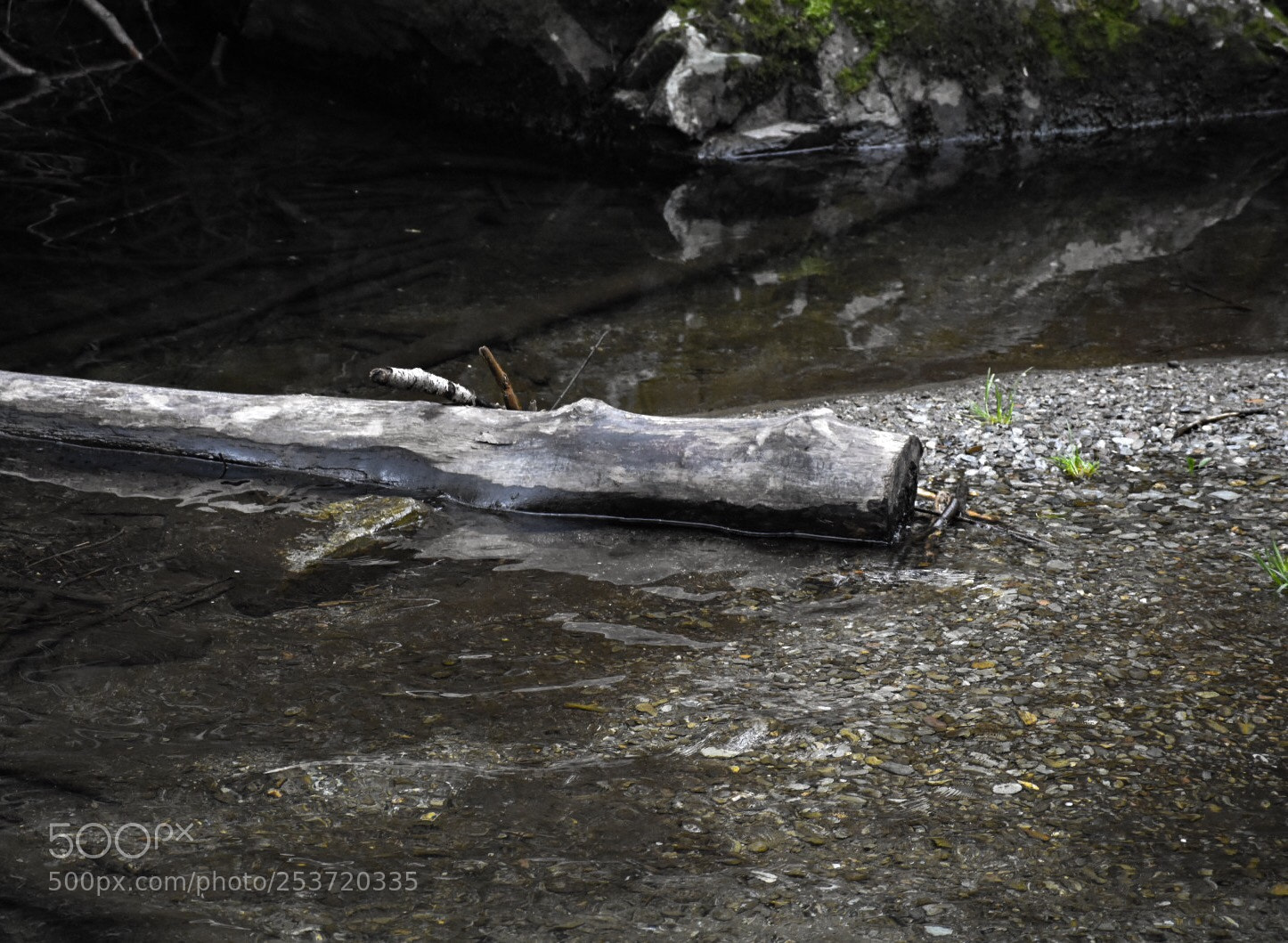 Nikon D3400 sample photo. Driftwood  photography