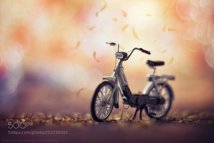 Nikon D5200 sample photo. Ciao piaggio - davide photography