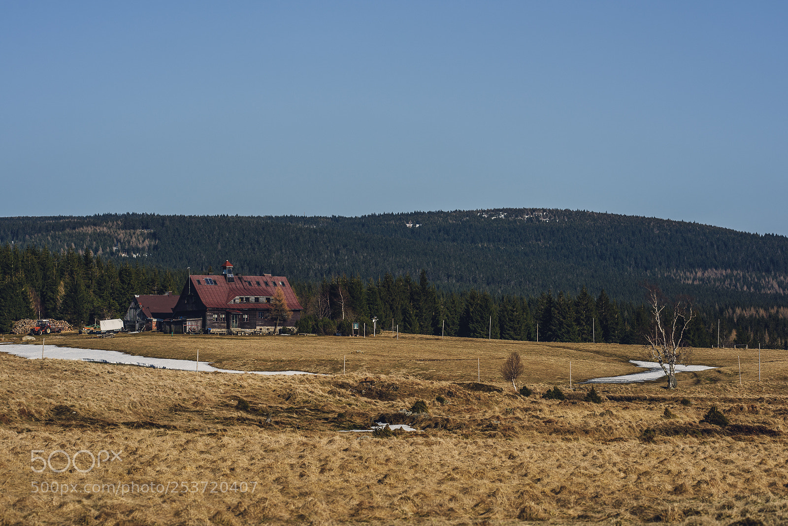 Nikon D810 sample photo. Other spring photography