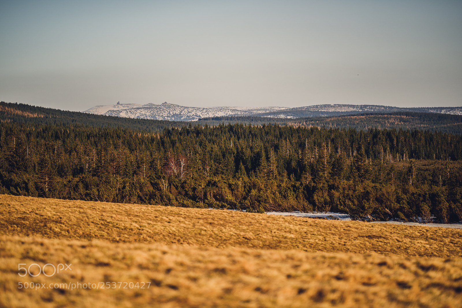 Nikon D810 sample photo. Other spring photography