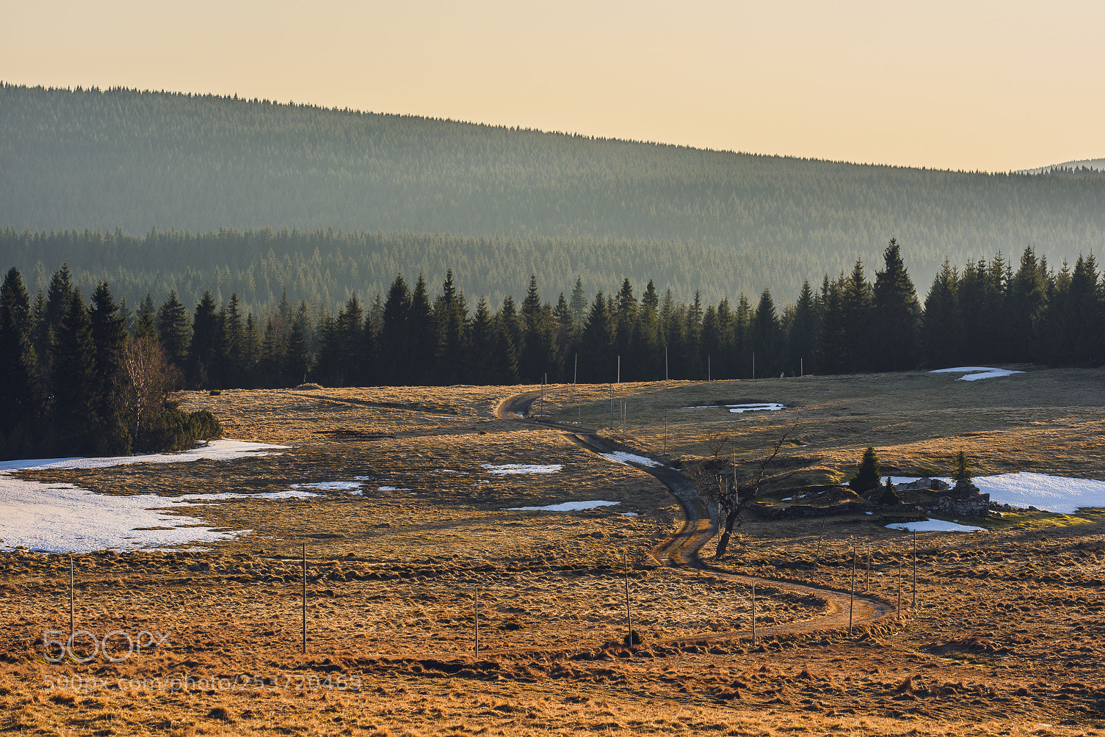 Nikon D810 sample photo. Other spring photography