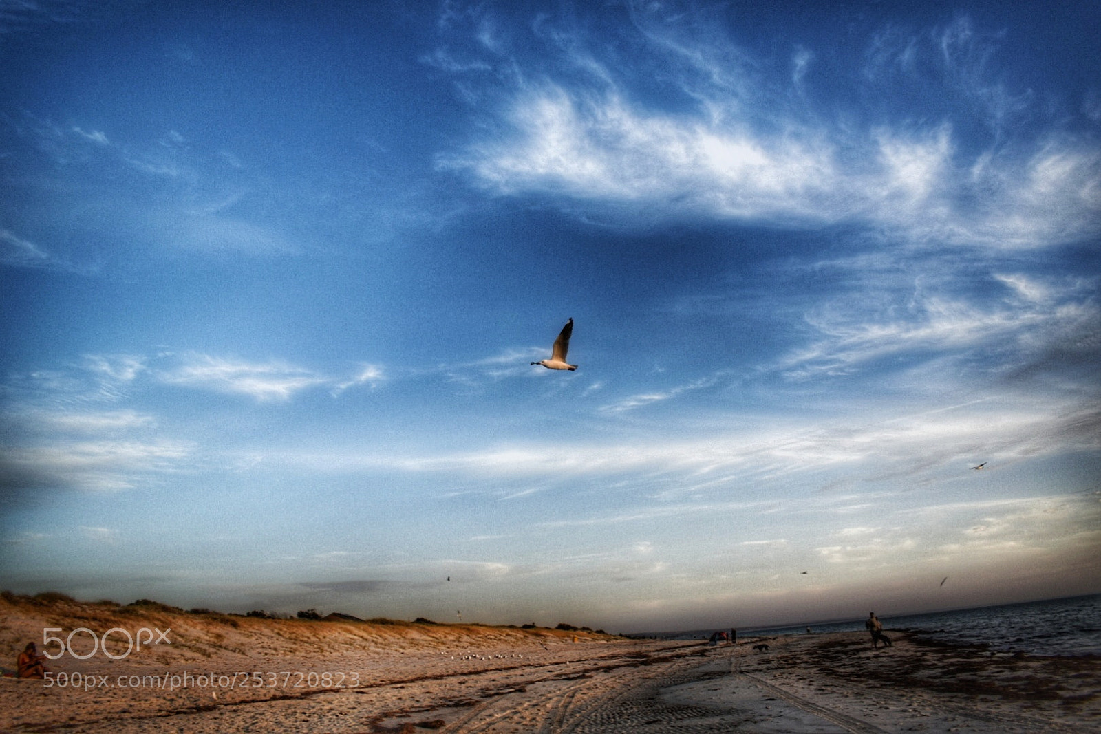 Nikon D5300 sample photo. Going home at sundown. photography