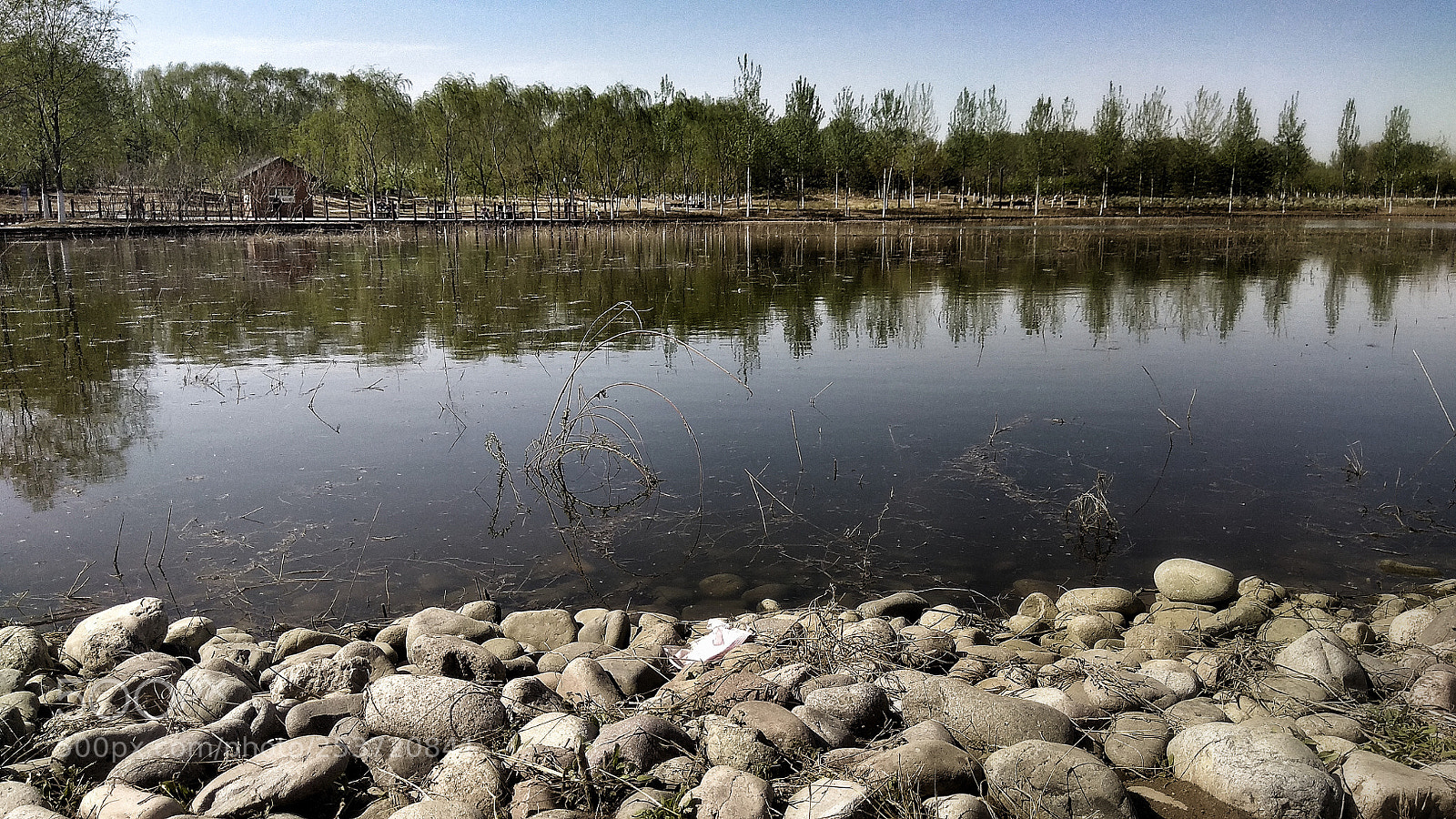 Xiaomi Redmi Note 4X sample photo. 17 photography