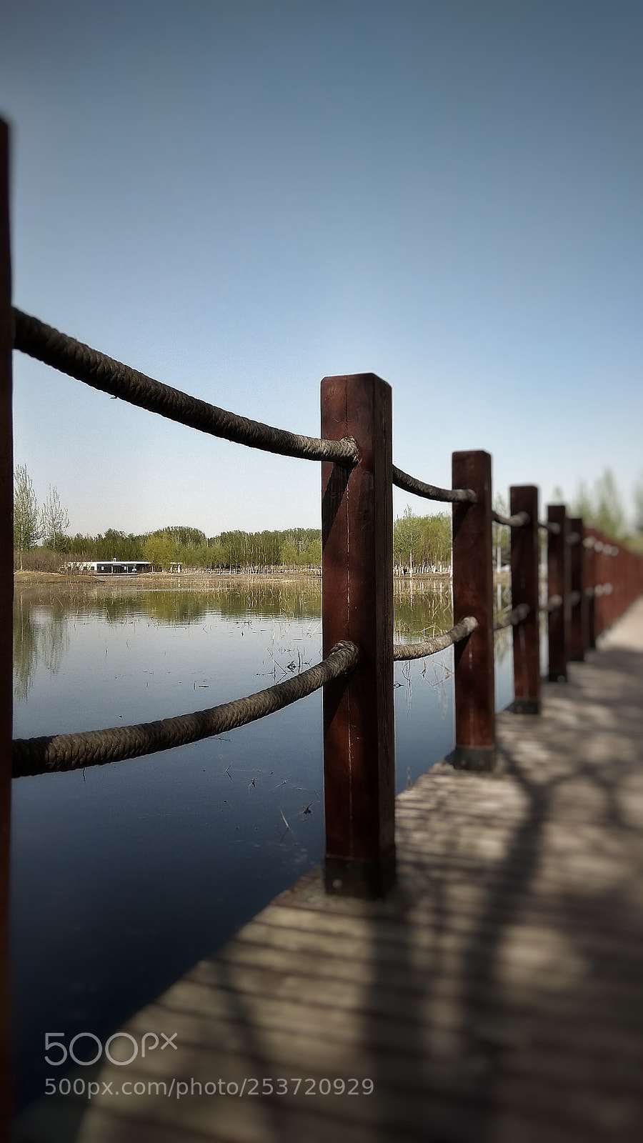 Xiaomi Redmi Note 4X sample photo. 18 photography