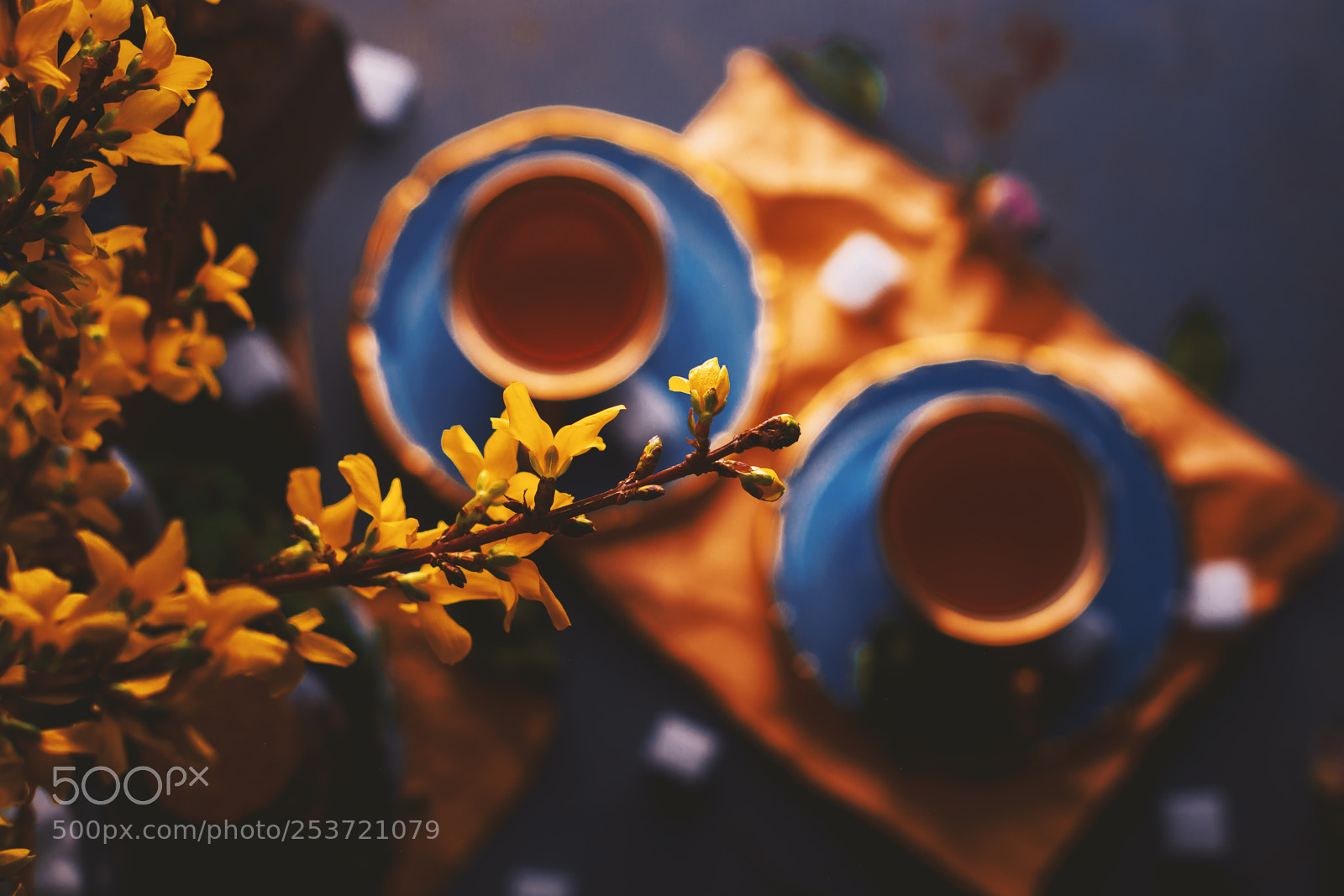 Nikon D5200 sample photo. Spring cup of tea photography