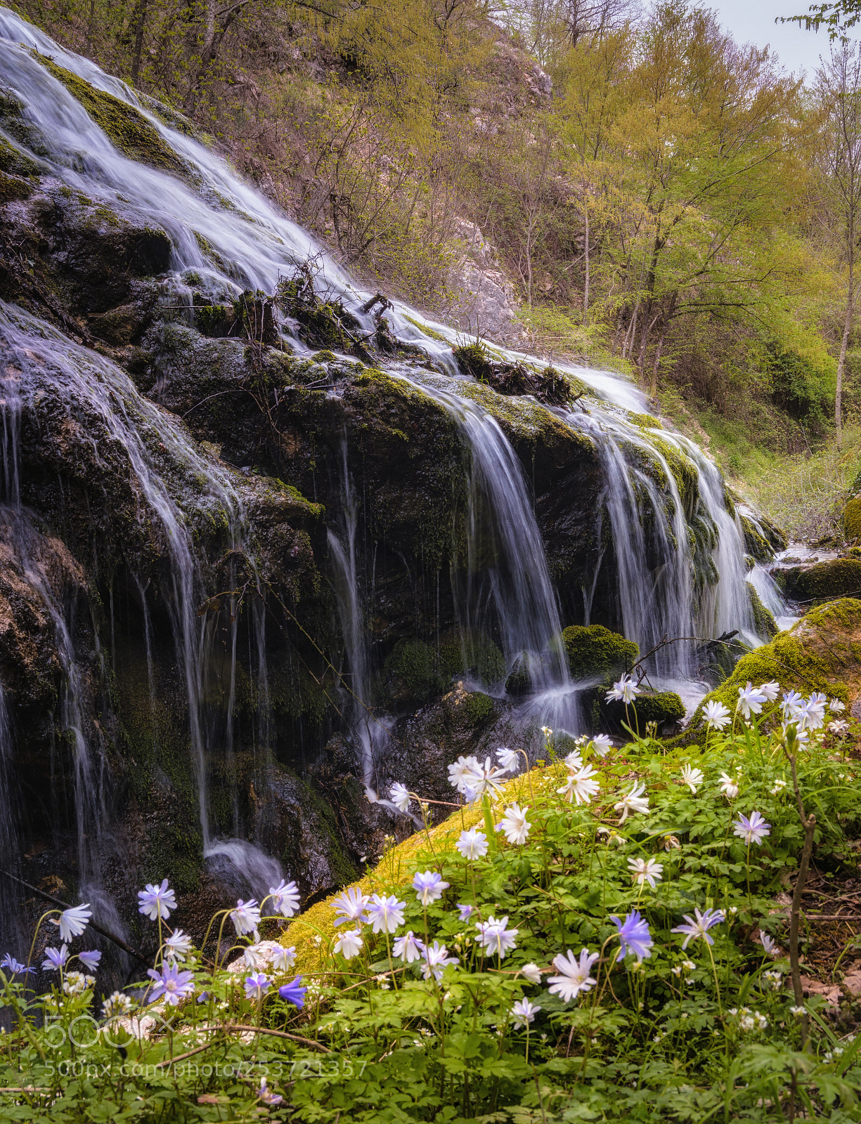 Nikon D3300 sample photo. Cascata rio photography