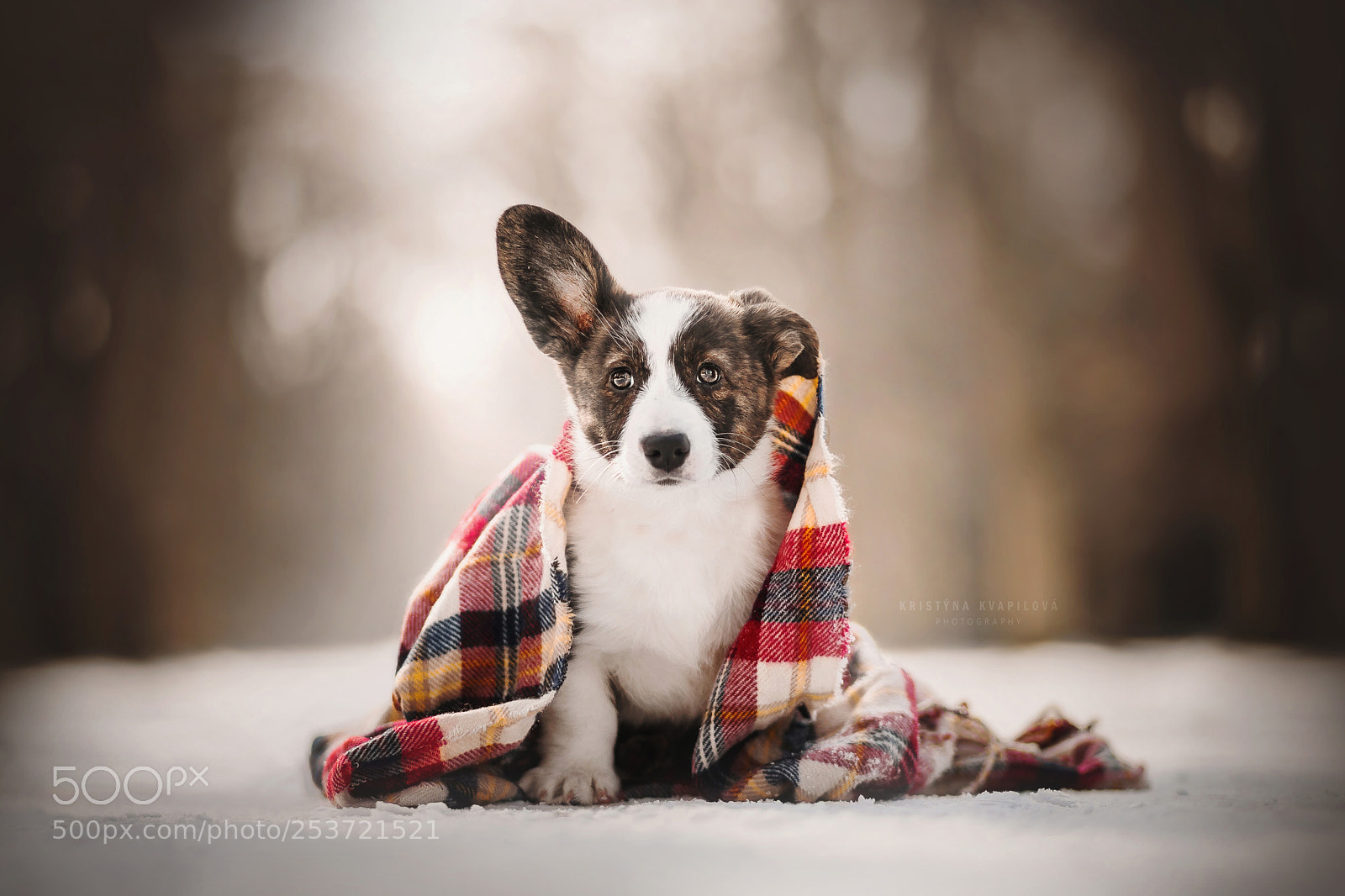 Canon EOS 5D Mark IV sample photo. Swater weather photography