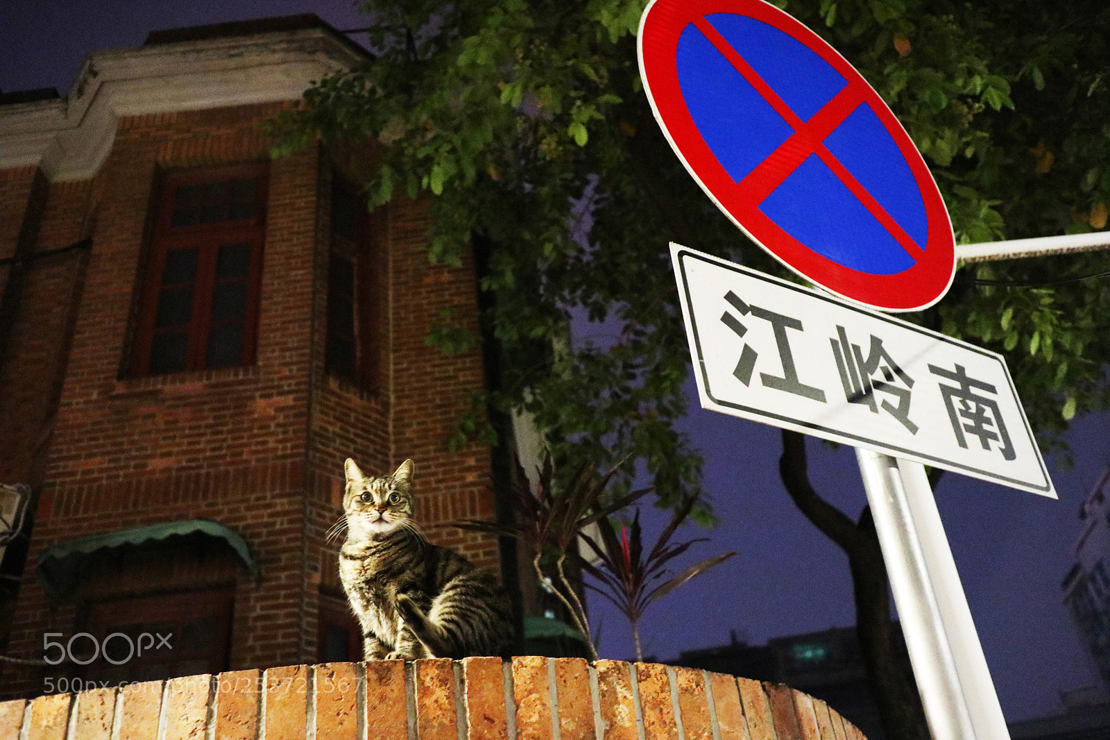 Canon EOS M6 sample photo. Img photography