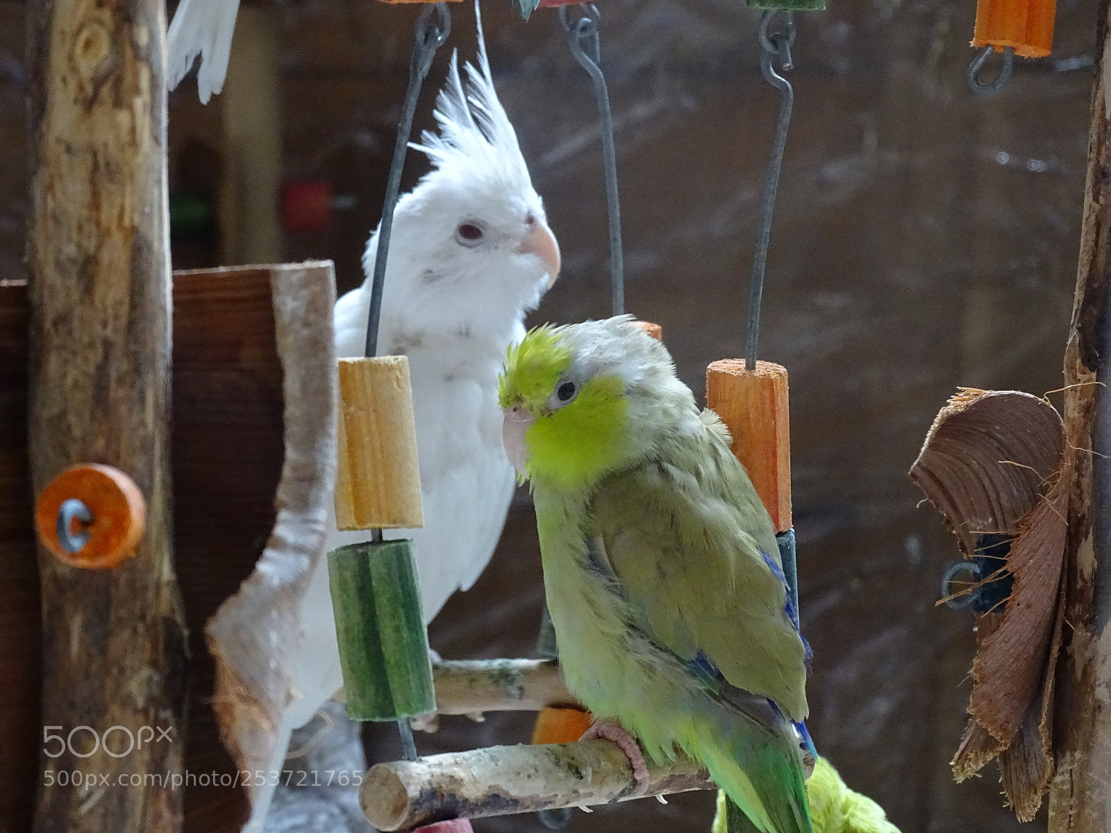 Sony Cyber-shot DSC-HX400V sample photo. Dsc photography