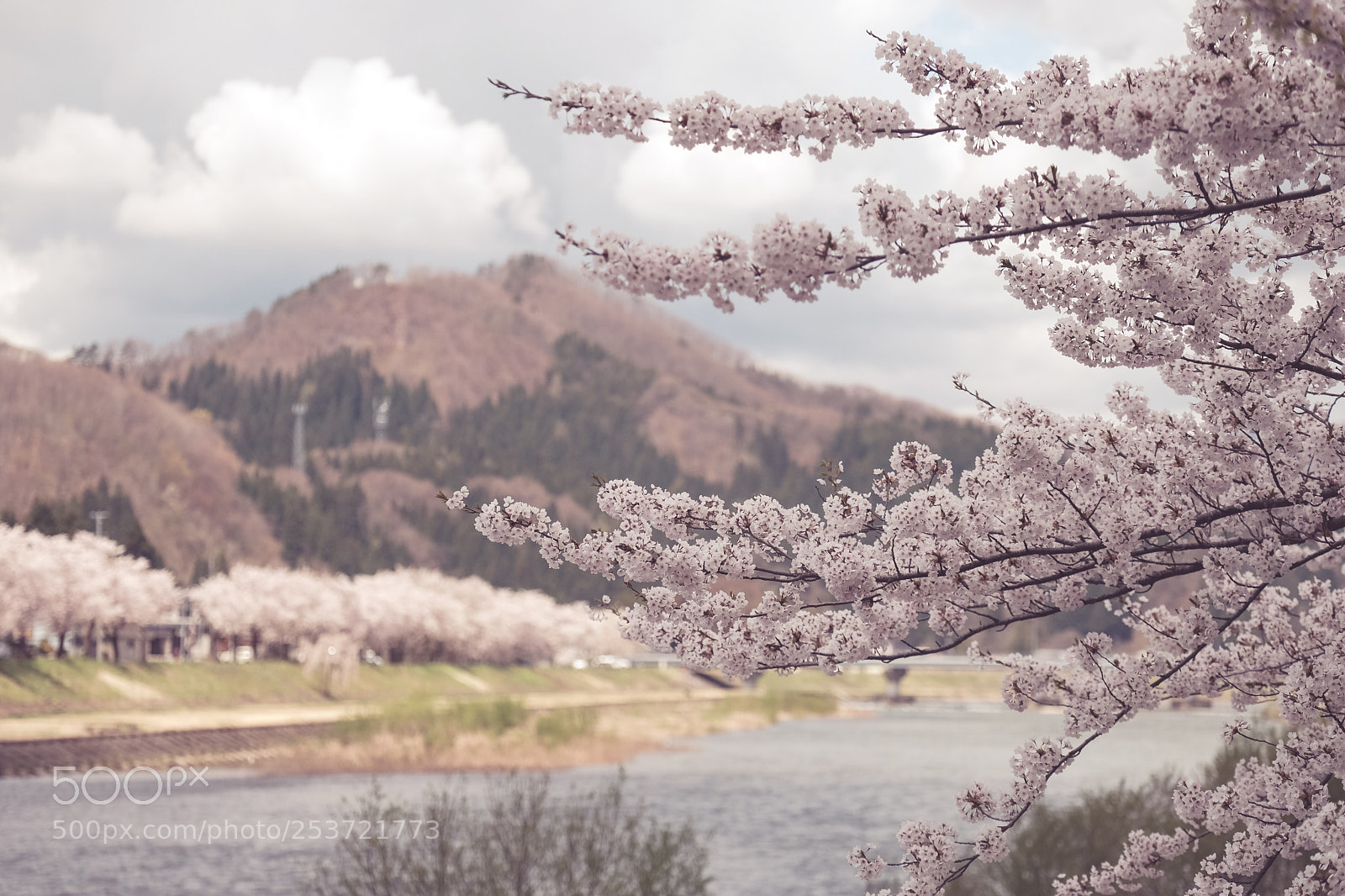 Fujifilm X-Pro2 sample photo. Untitled photography