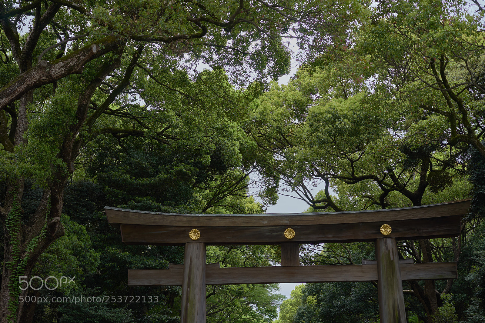 Sony a7 sample photo. Street 290 photography