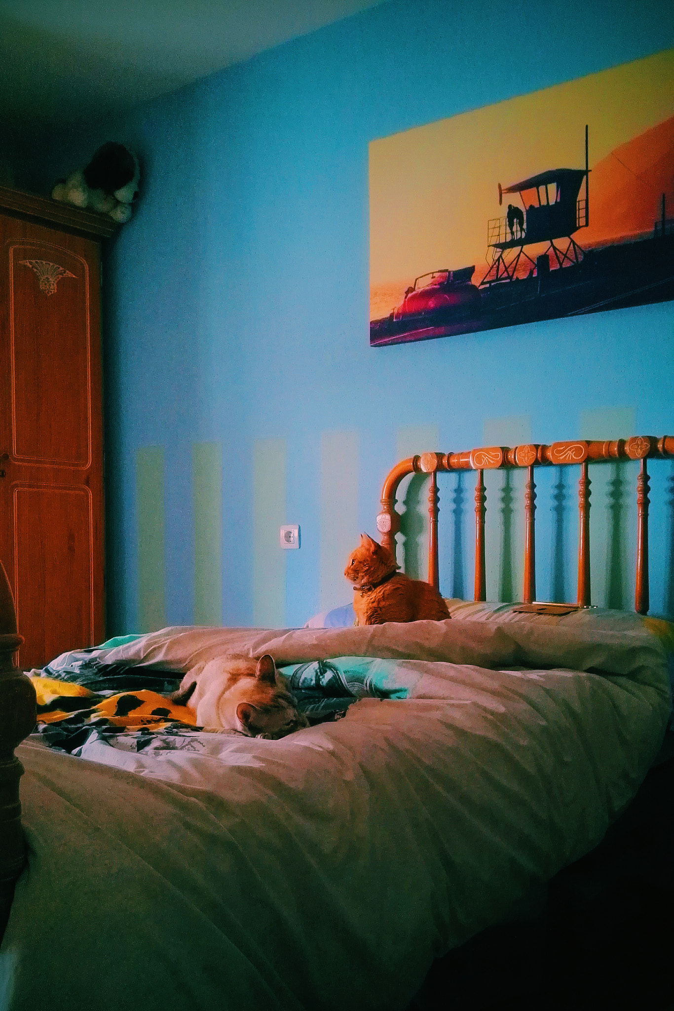HUAWEI P8 sample photo