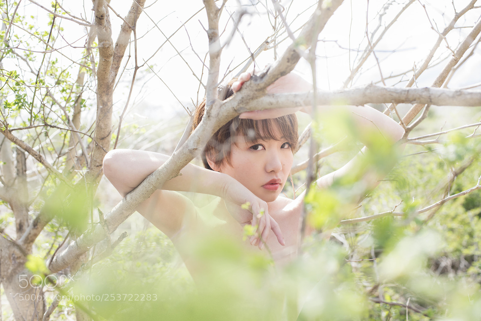 Nikon D810 sample photo. Spring photography