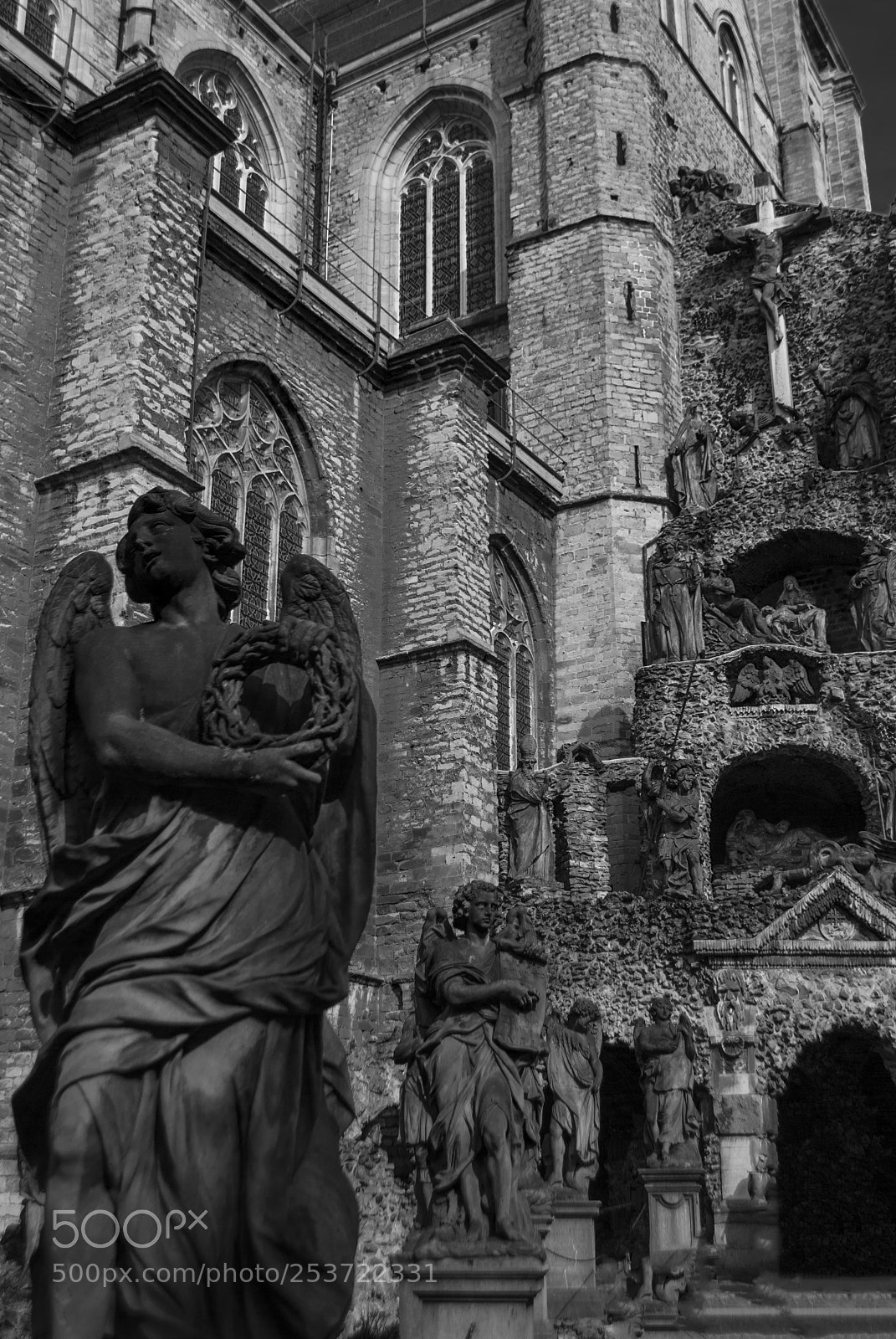 Nikon D3000 sample photo. Rise of the fallen photography