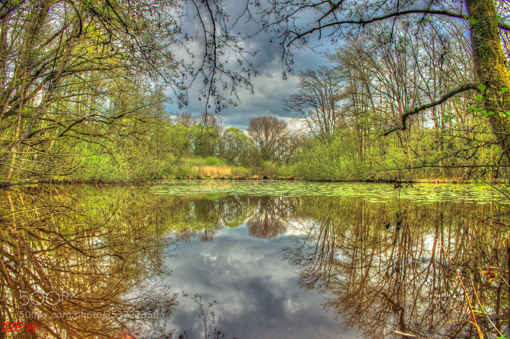 Canon EOS 700D (EOS Rebel T5i / EOS Kiss X7i) sample photo. Swamp reflection photography
