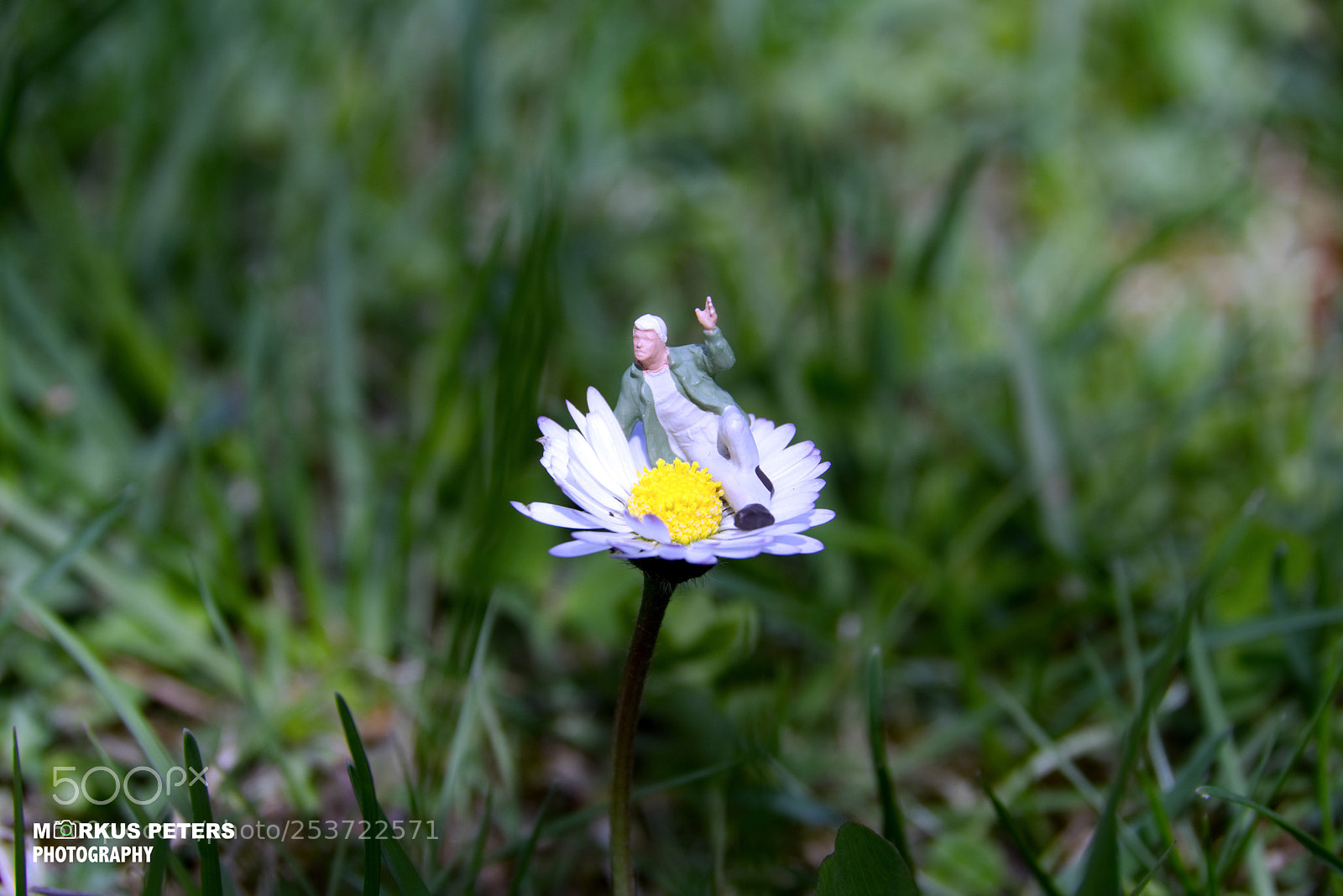 Pentax K-3 II sample photo. Pause  photography
