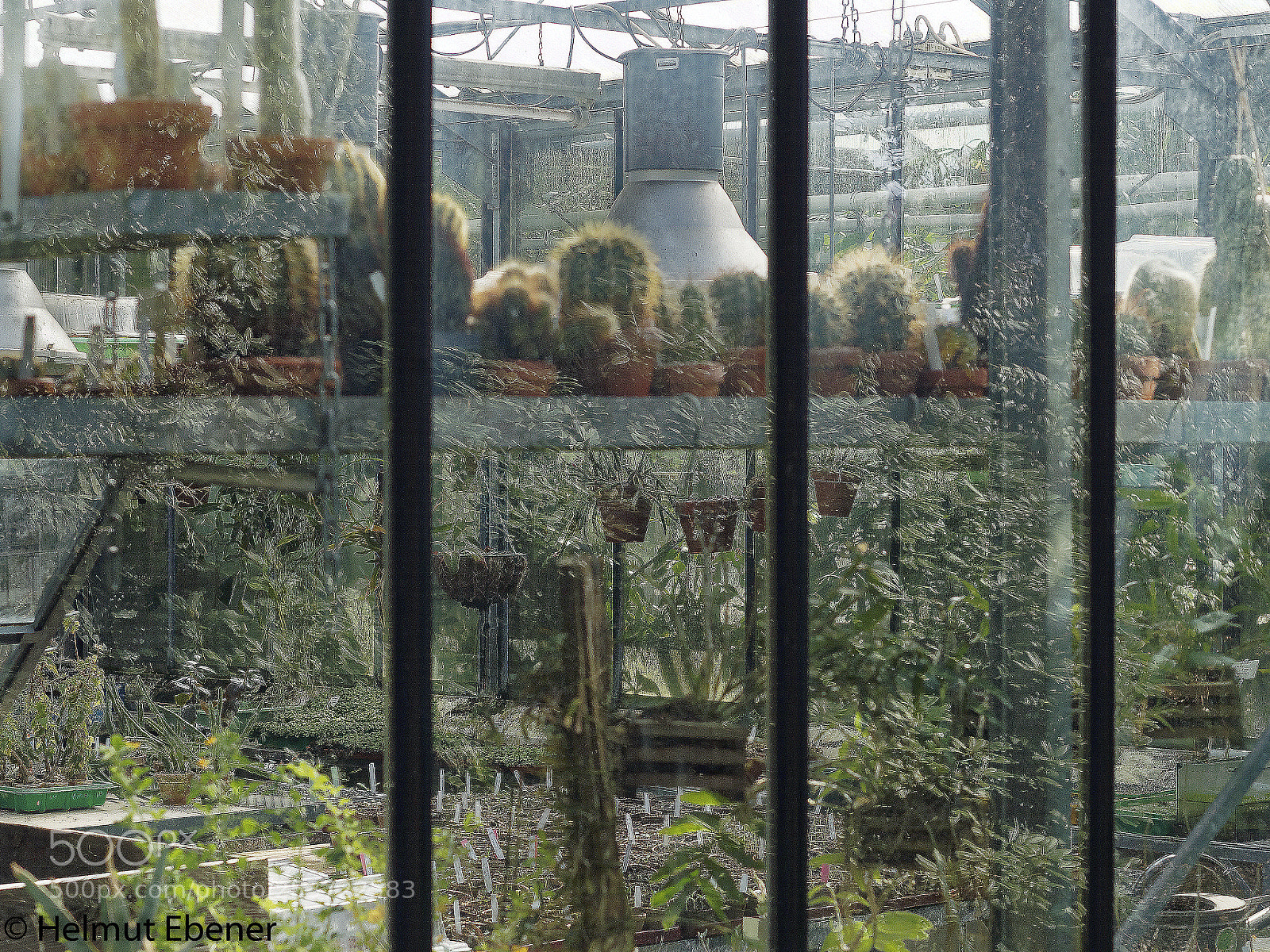 Olympus OM-D E-M5 sample photo. Bs, botanischer garten der photography