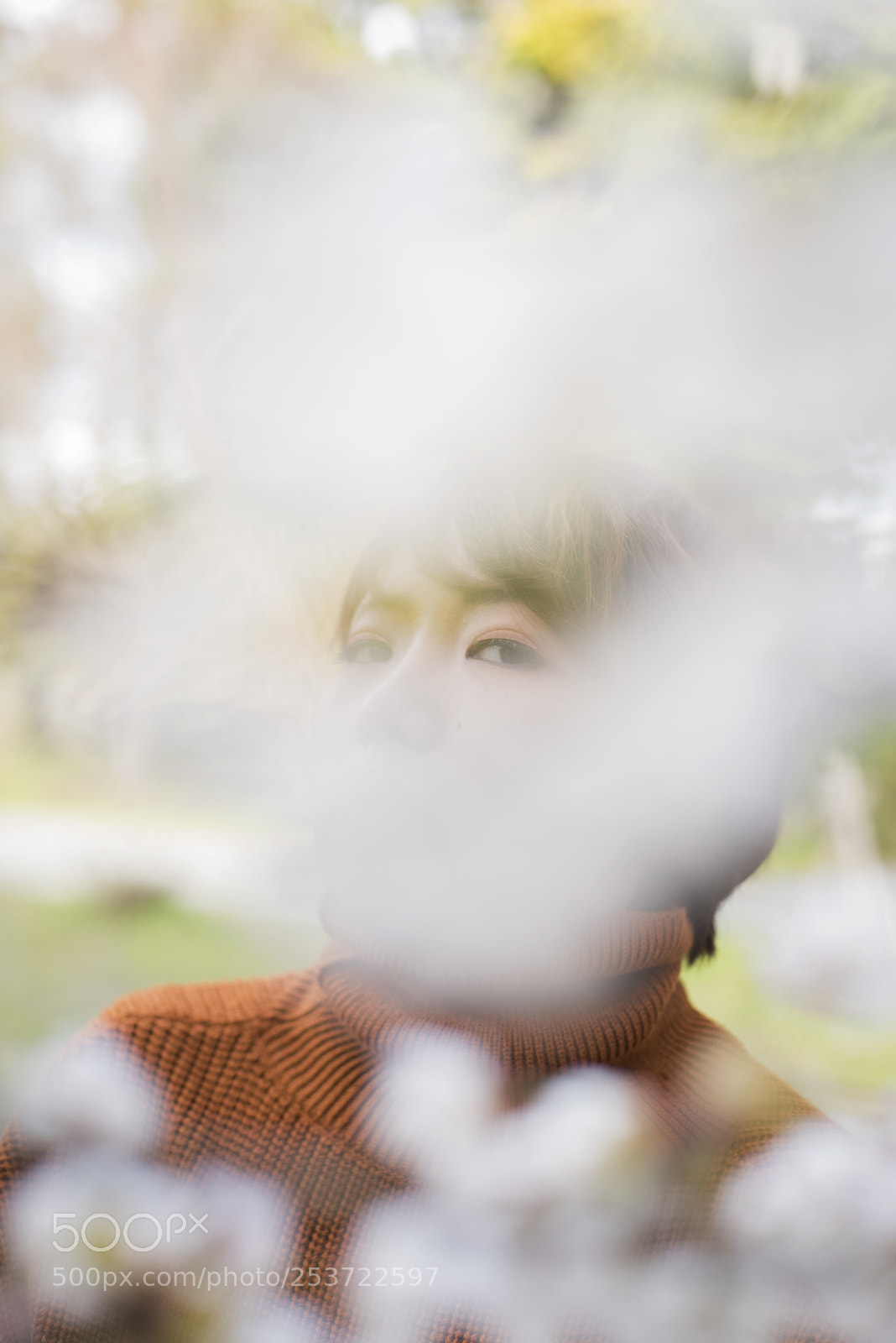 Nikon D810 sample photo. Cherry blossoms photography