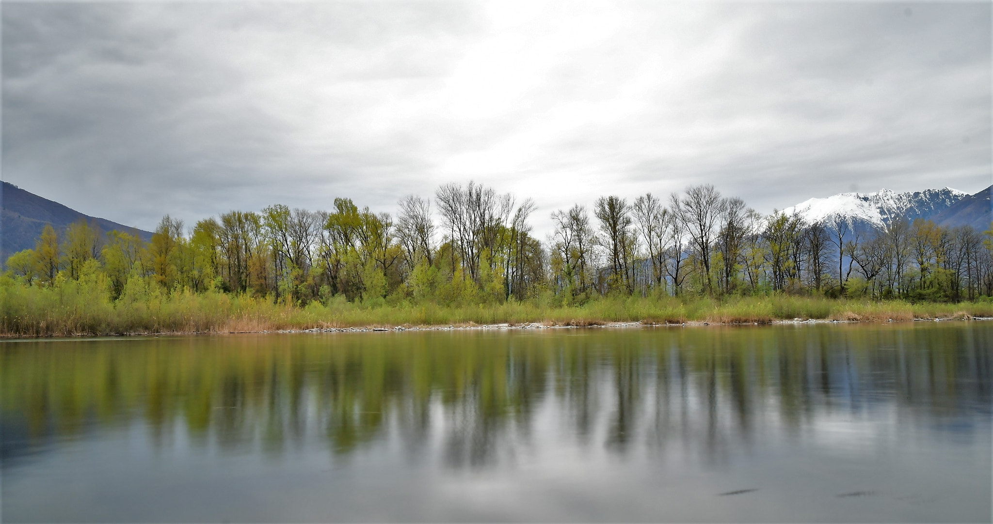 Nikon D500 sample photo. Fiume photography