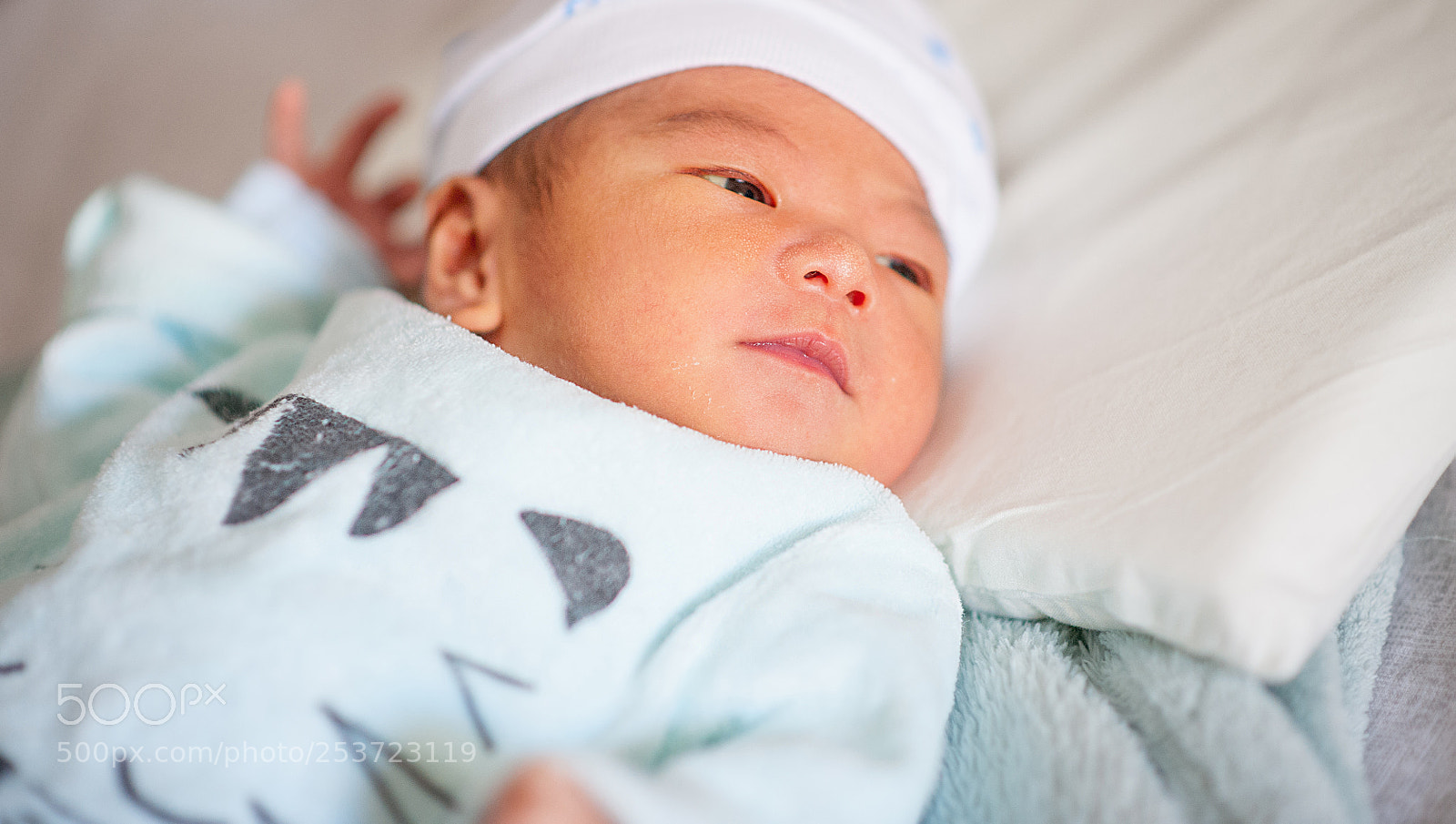 Nikon D700 sample photo. Bc photography
