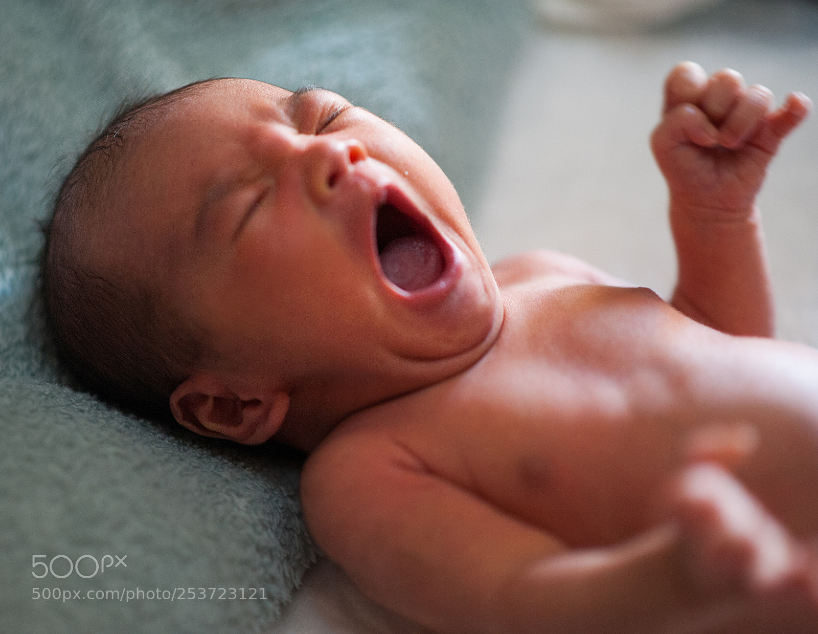 Nikon D700 sample photo. B photography