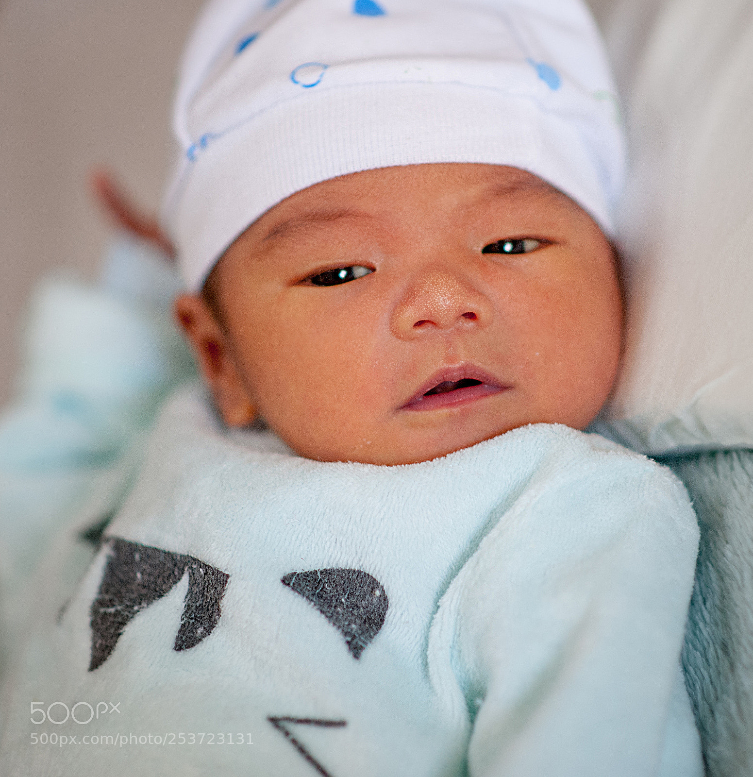 Nikon D700 sample photo. Branth photography