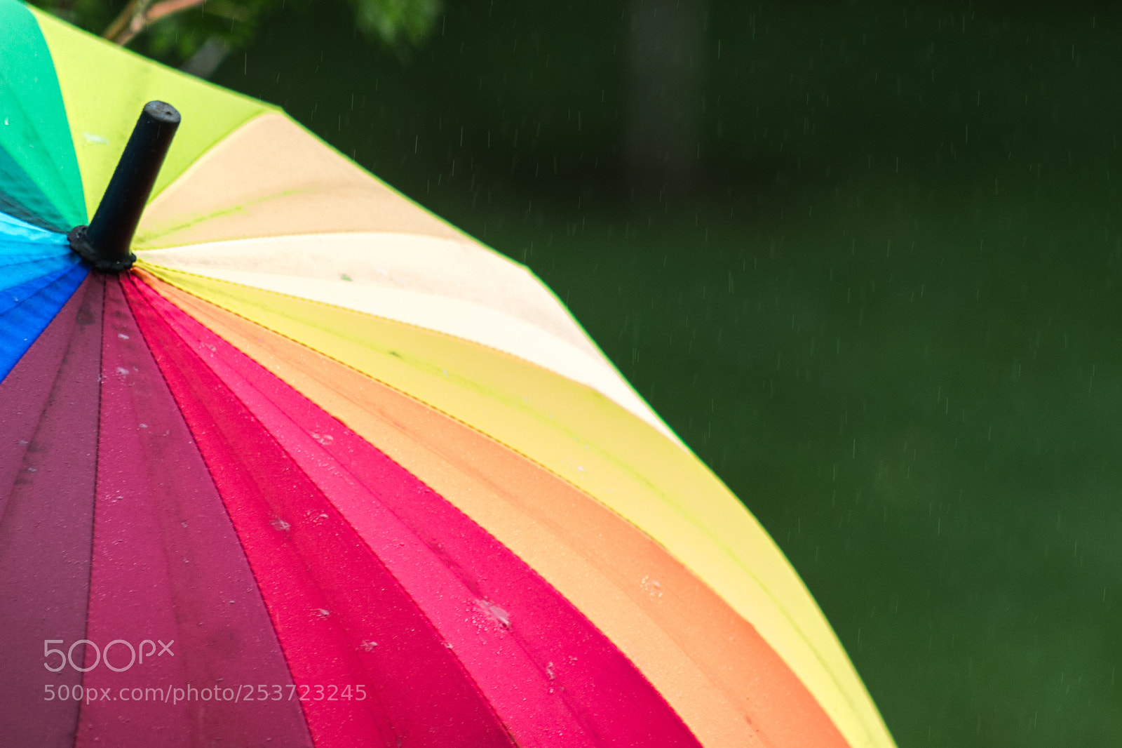 Canon EOS 100D (EOS Rebel SL1 / EOS Kiss X7) sample photo. It rains again in photography