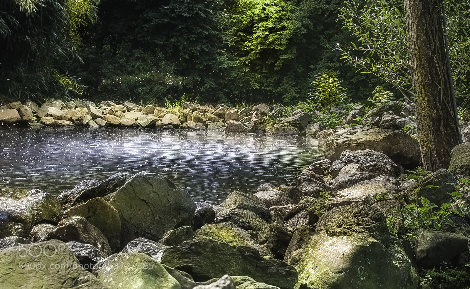 Nikon D5000 sample photo. Lake in woods photography