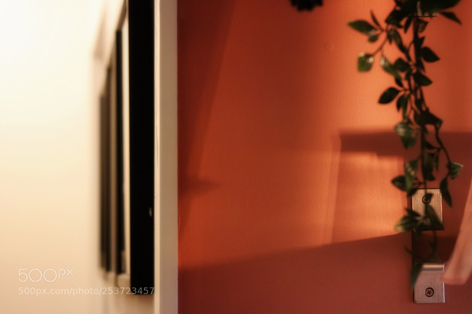 Canon EOS 760D (EOS Rebel T6s / EOS 8000D) sample photo. Home photography