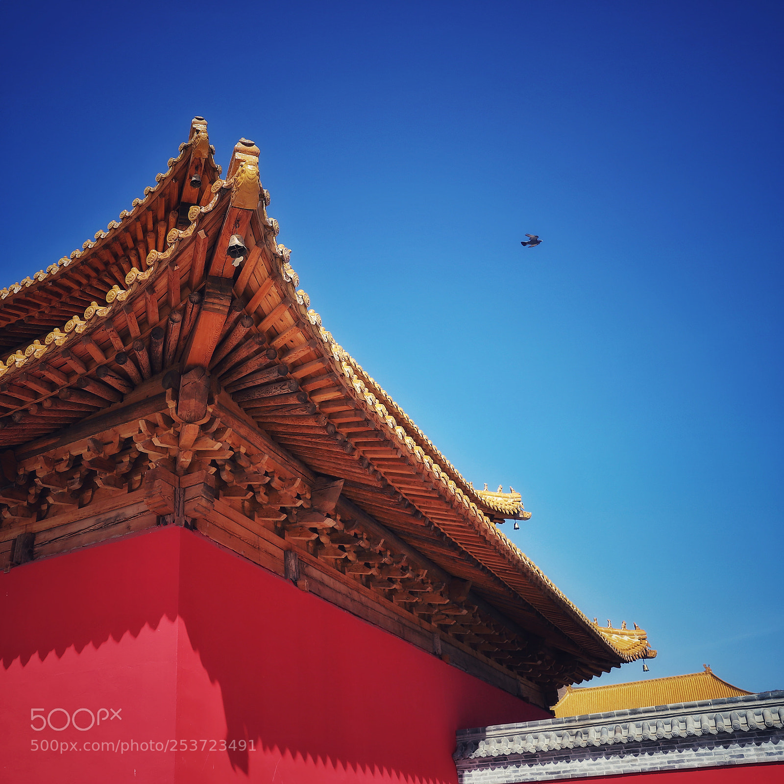 Canon EOS 6D Mark II sample photo. Untitled photography