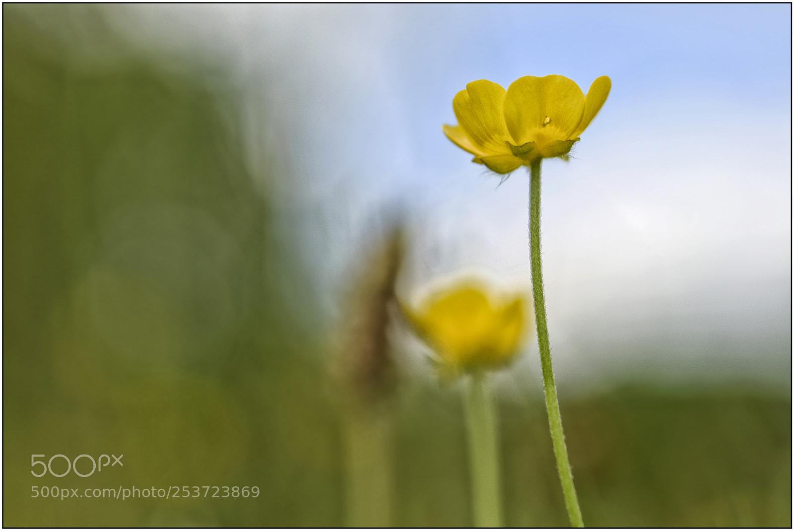 Nikon D3300 sample photo. …something about spring – i... photography