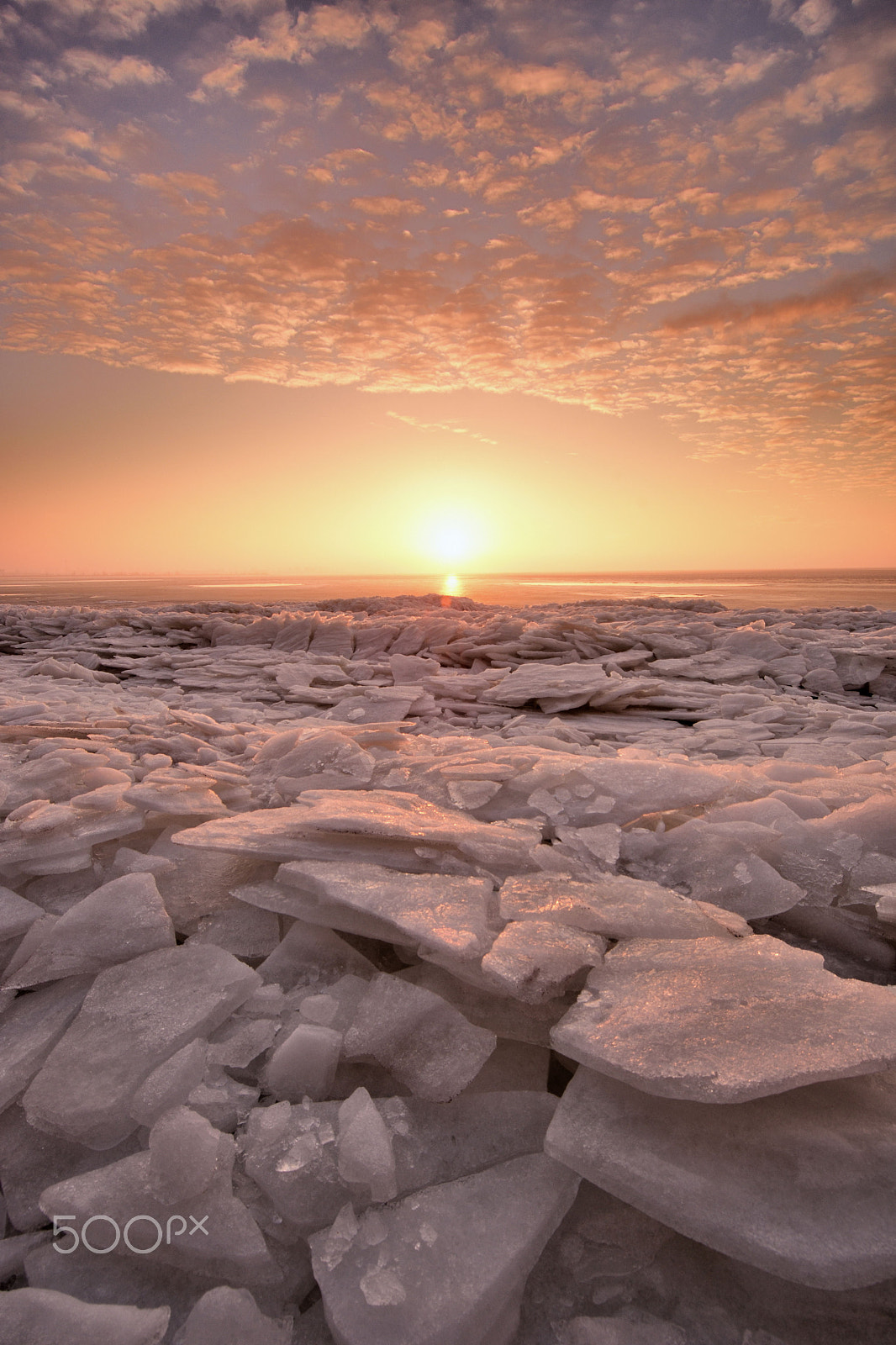 Nikon D7200 sample photo. As cold as ice photography