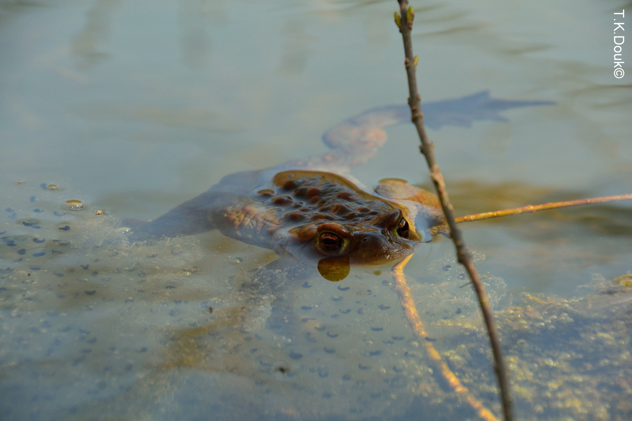 Nikon D5200 sample photo. Equivalent photography