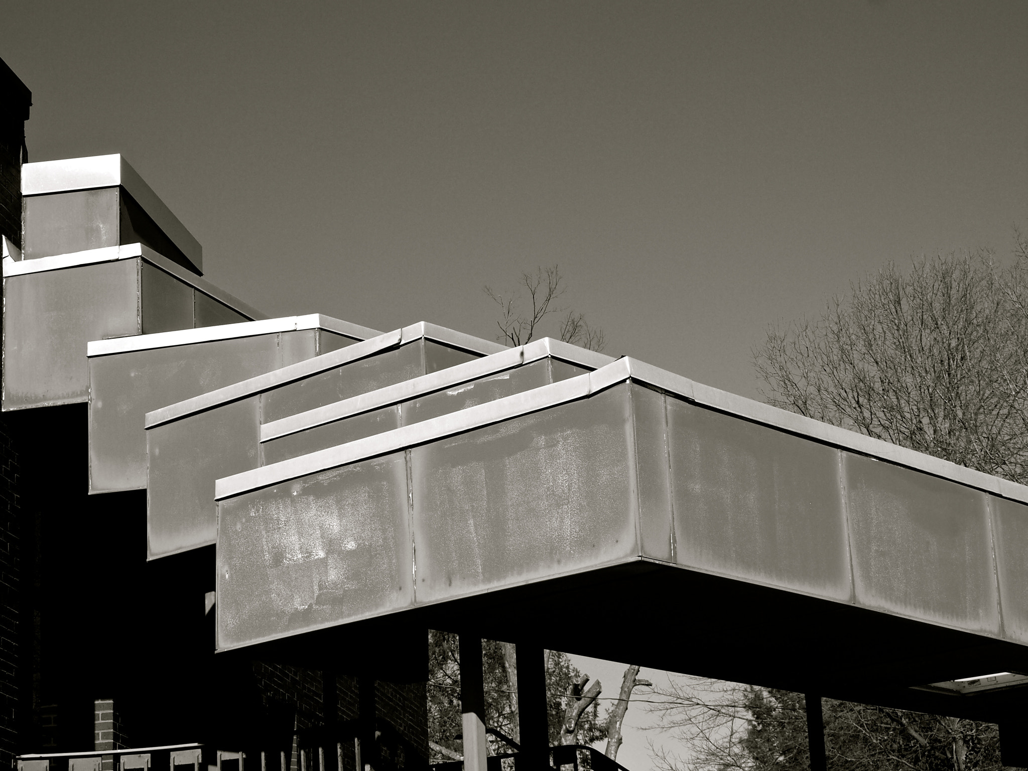 Olympus E-5 sample photo. Canopy photography