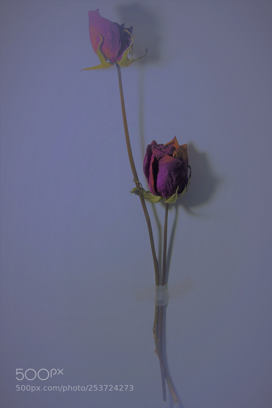 Sony a6000 sample photo. Afterrock photography