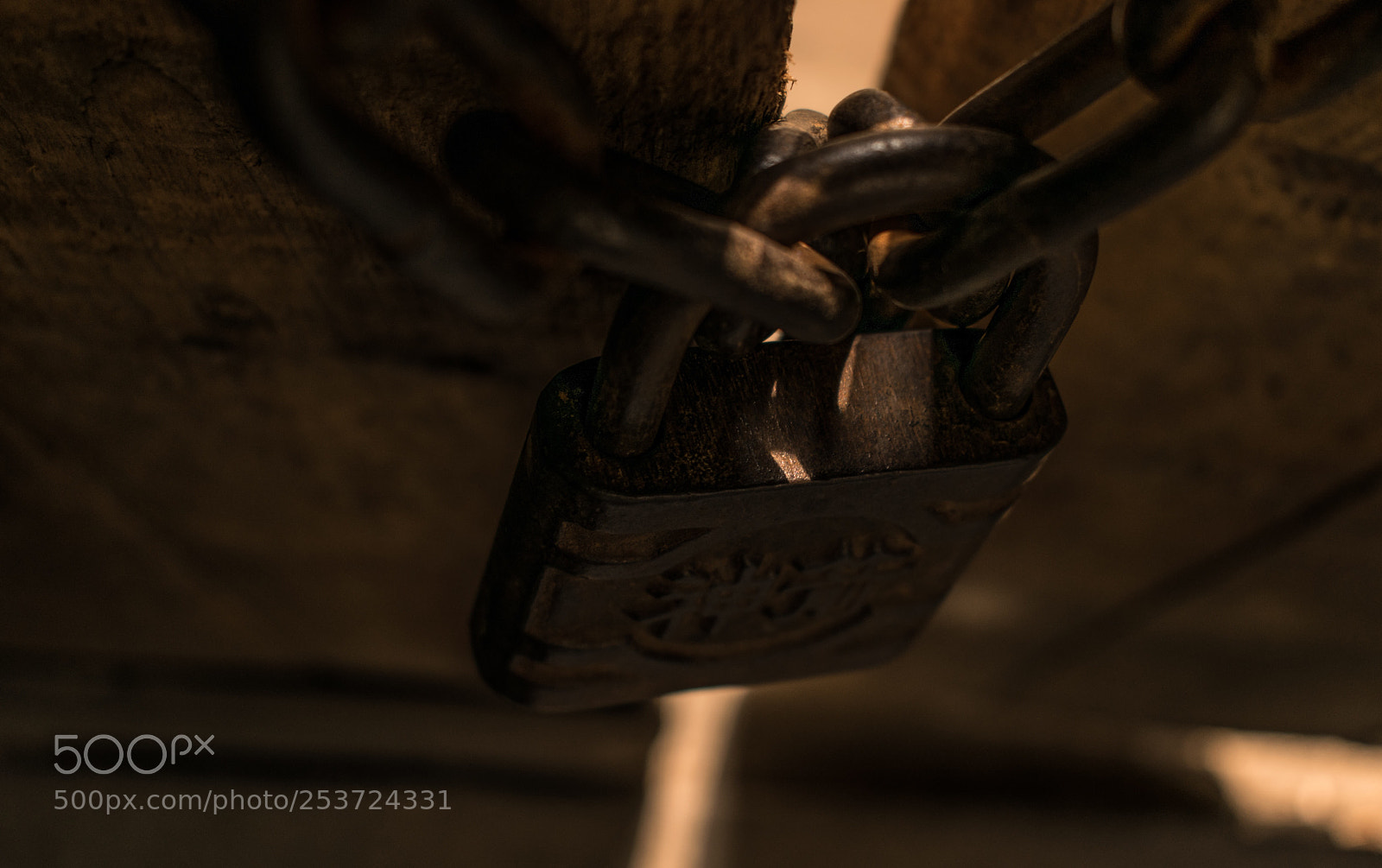 Nikon D5300 sample photo. Untitled photography