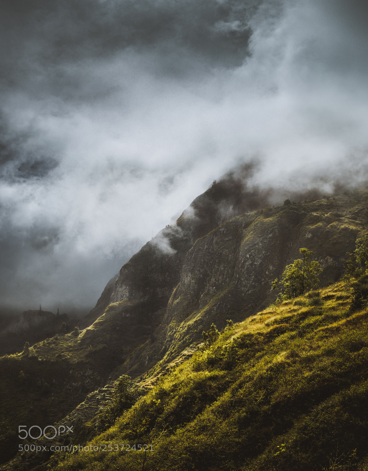 Sony a7 II sample photo. Stunning scenery with mist photography