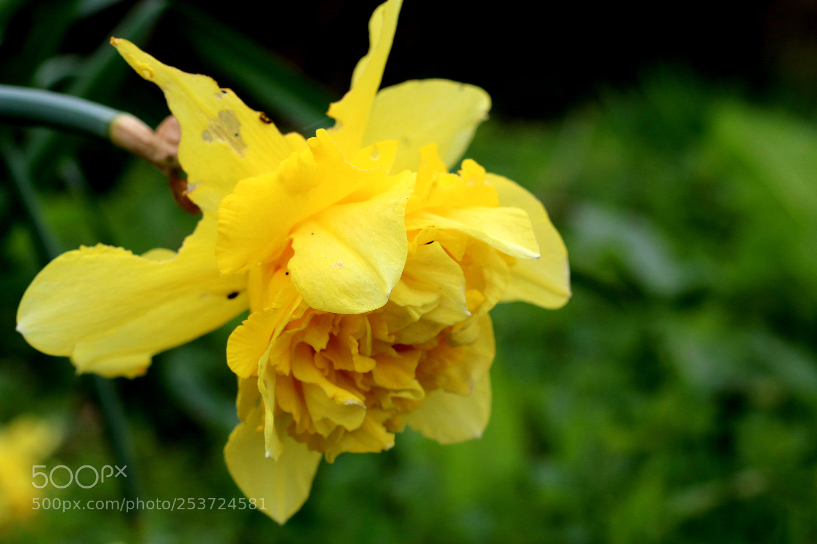Canon EOS 70D sample photo. Untitled photography