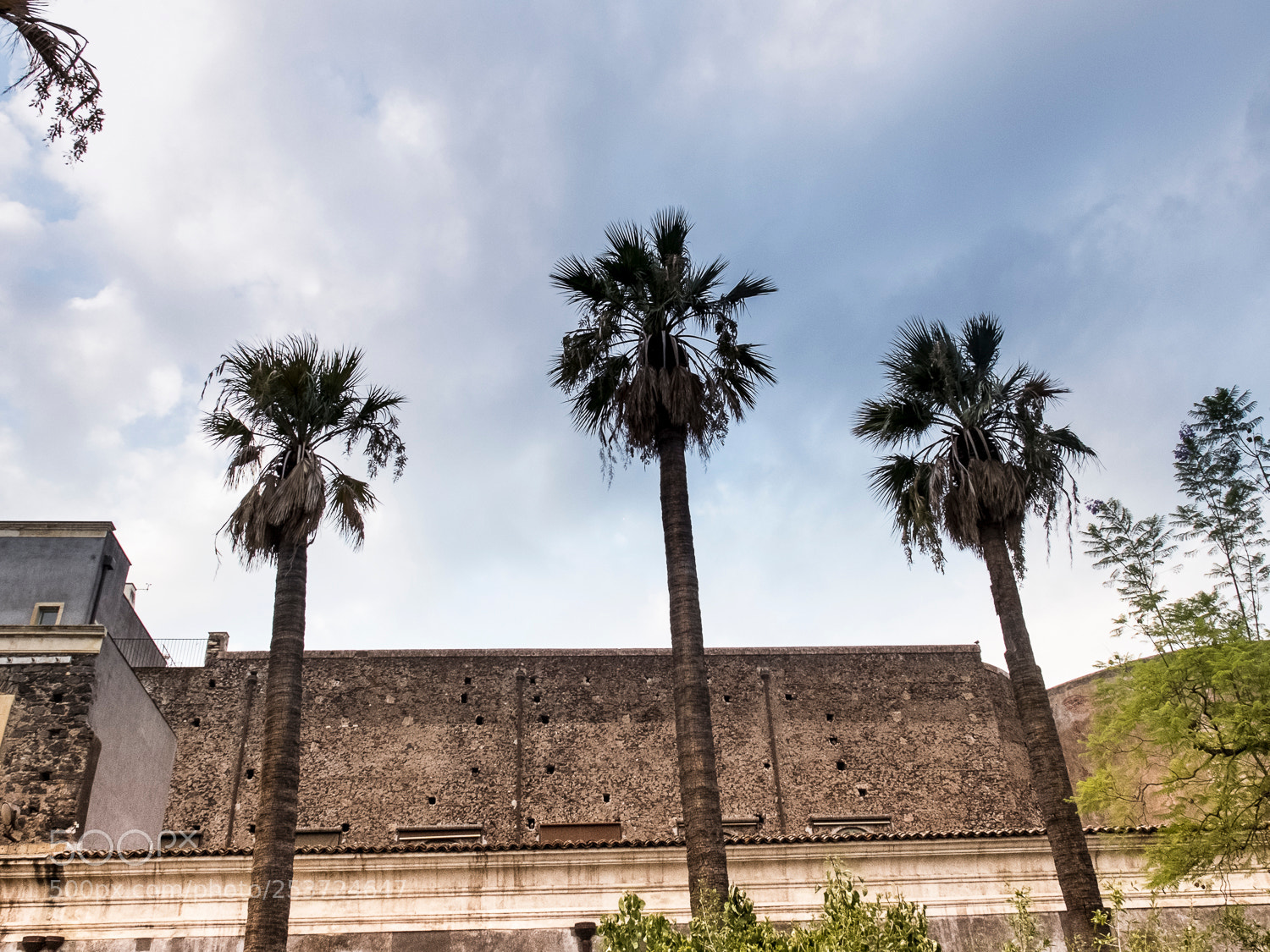 Fujifilm X20 sample photo. Catania photography