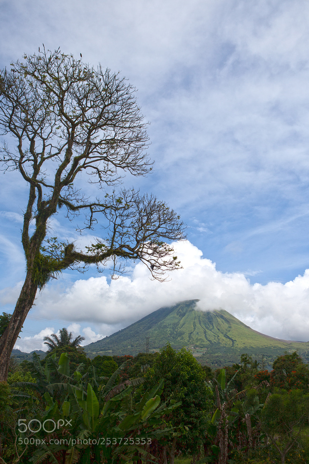 Canon EOS 5D Mark II sample photo. Mount lokon photography