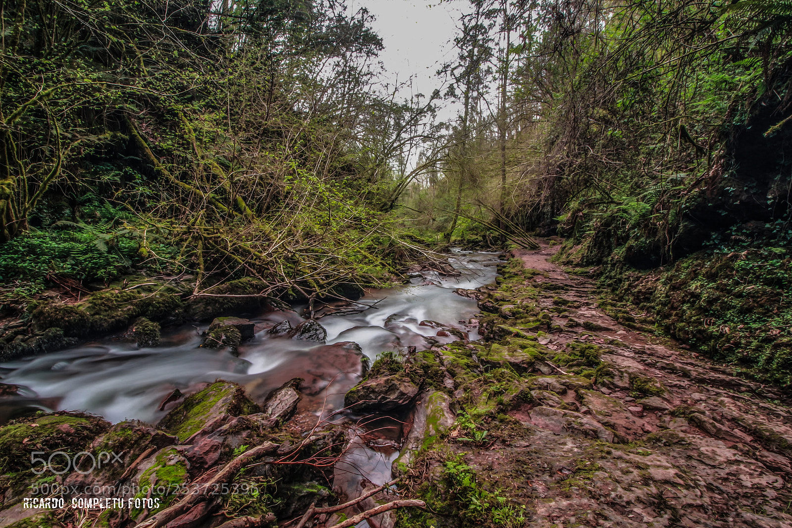 Canon EOS 700D (EOS Rebel T5i / EOS Kiss X7i) sample photo. Caminos de aguas photography