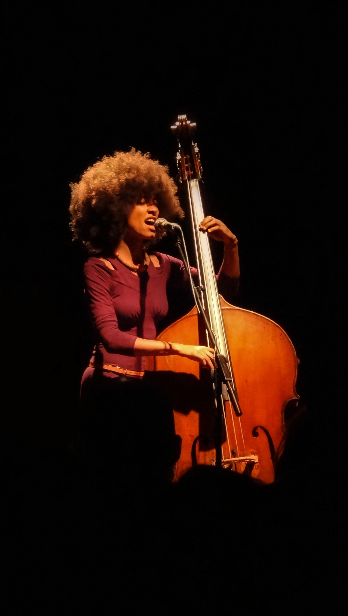 Sony Cyber-shot DSC-HX7V sample photo. Esperanza spalding - live at koko, london photography