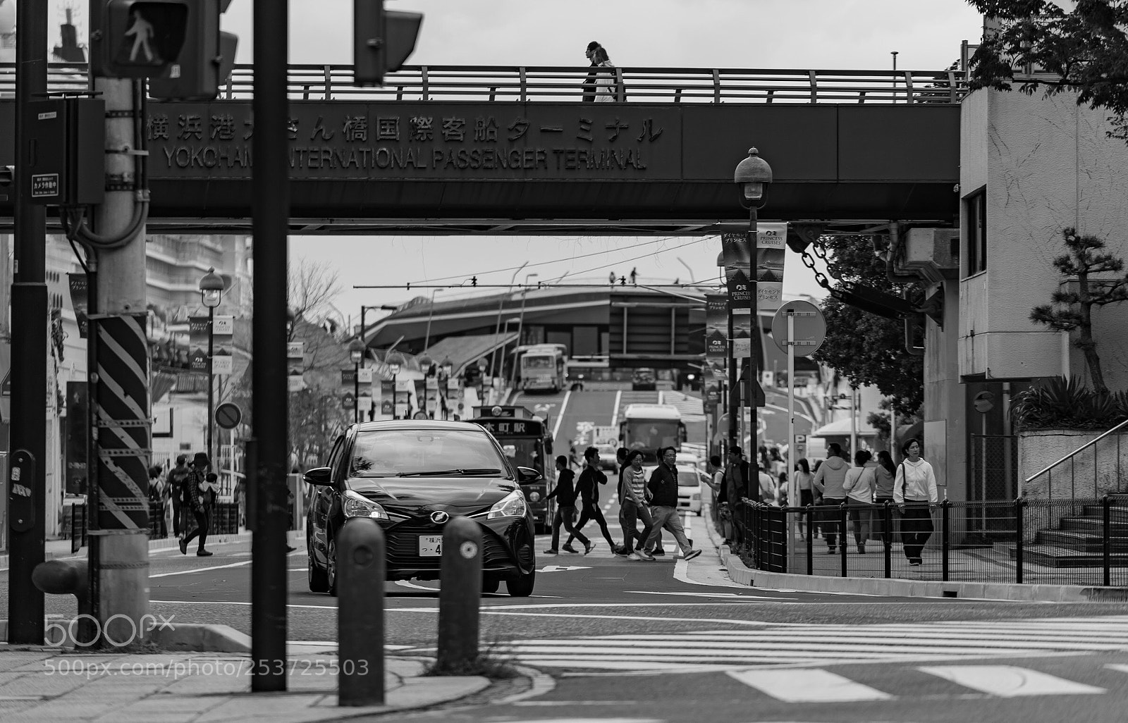 Sony a7 II sample photo. Untitled photography