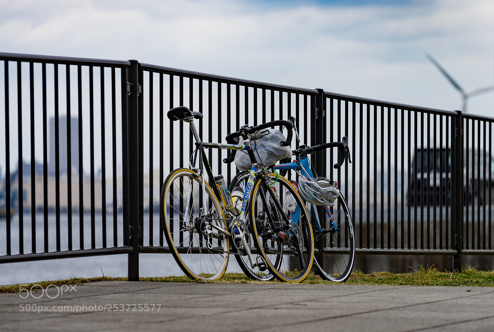 Sony a7 II sample photo. Untitled photography