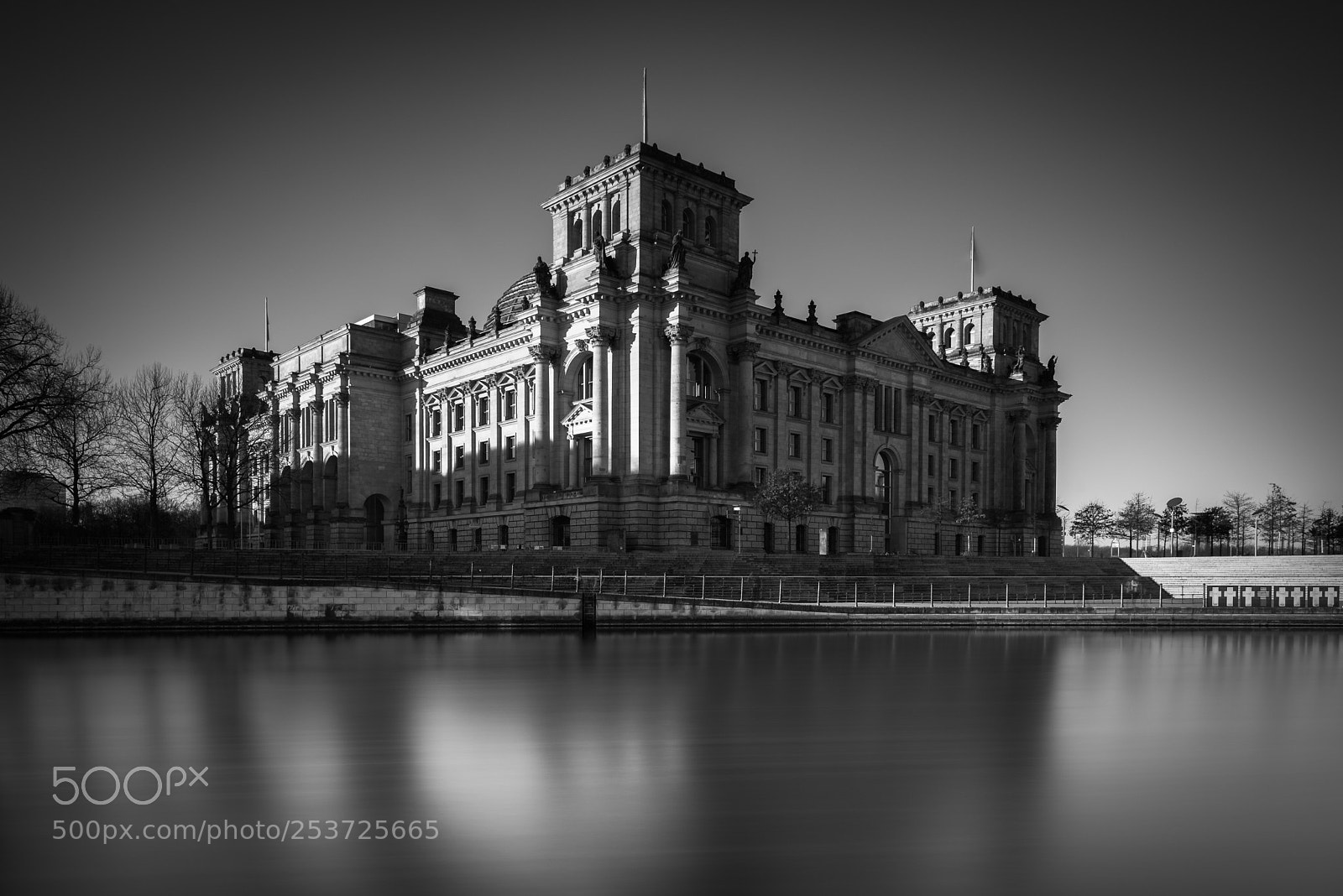 Nikon D810 sample photo. Reichstag photography