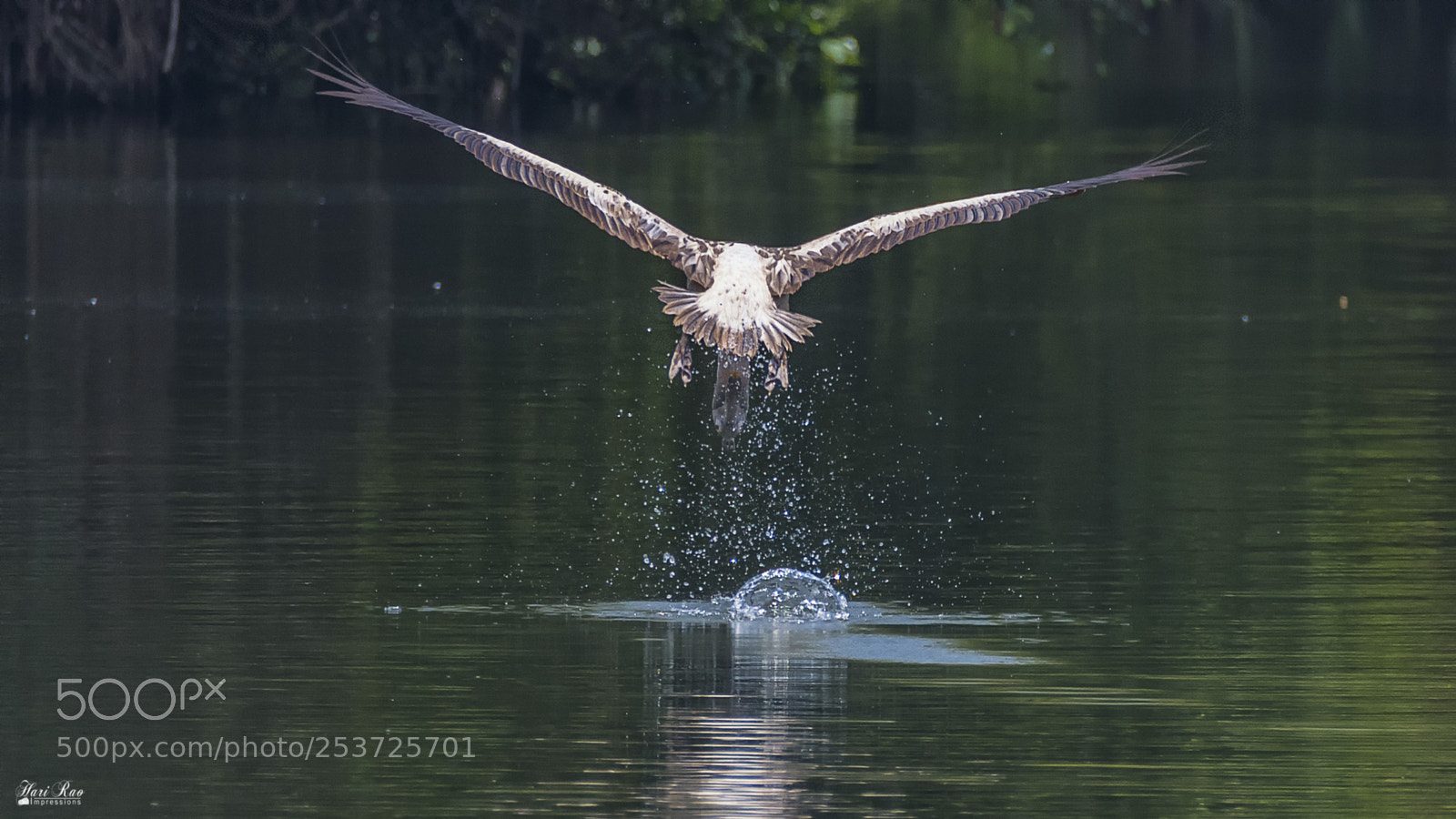 Nikon D810 sample photo. The catch.. photography
