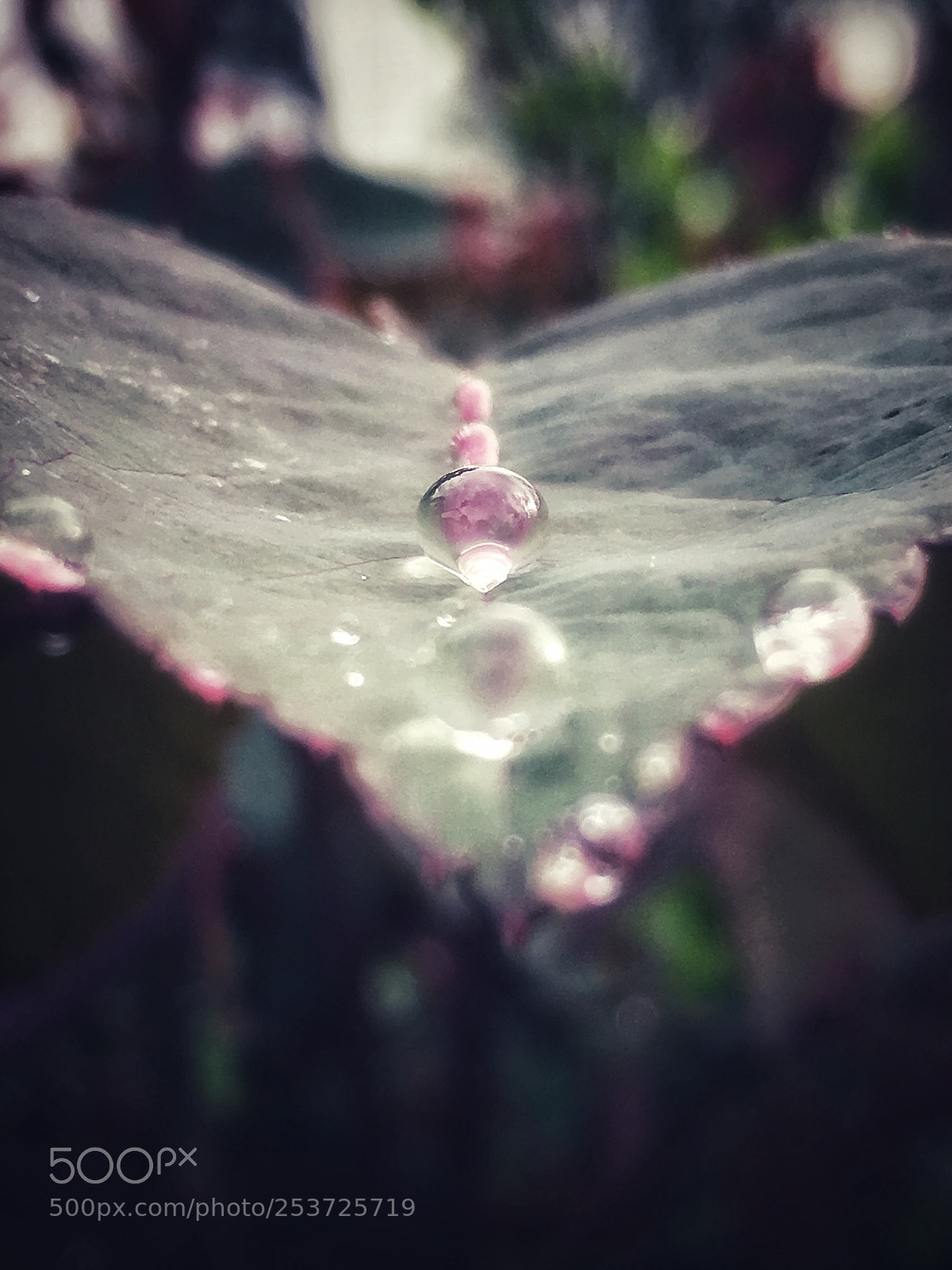 Apple iPhone 6s sample photo. Untitled photography