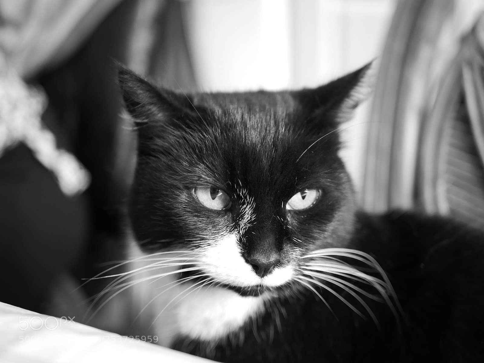 Panasonic Lumix DMC-GX85 (Lumix DMC-GX80 / Lumix DMC-GX7 Mark II) sample photo. Waiting patiently photography