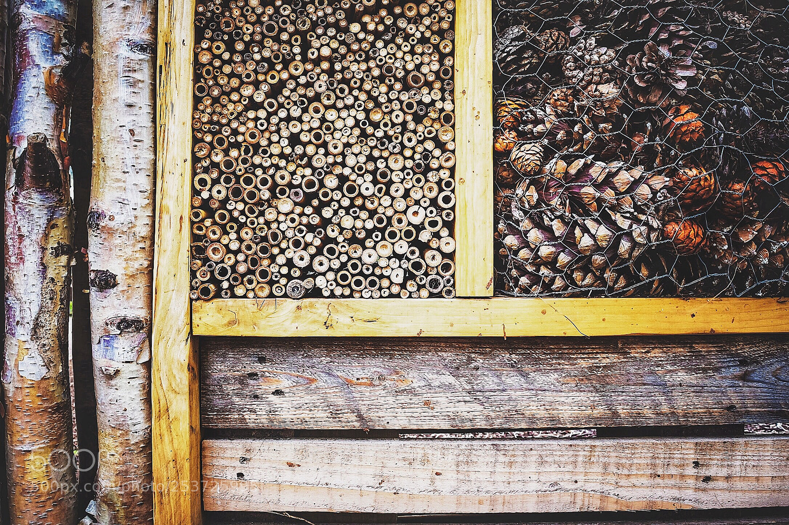 Nikon D7200 sample photo. Wallpaper photography
